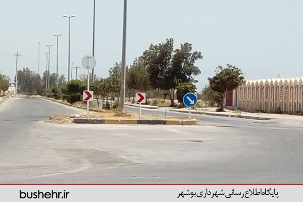 گزارش تصویری