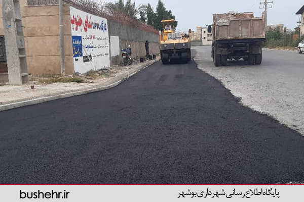 گزارش تصویری