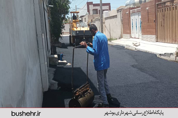 گزارش تصویری